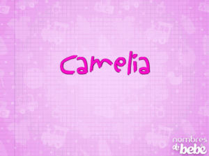 camelia