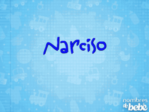narciso
